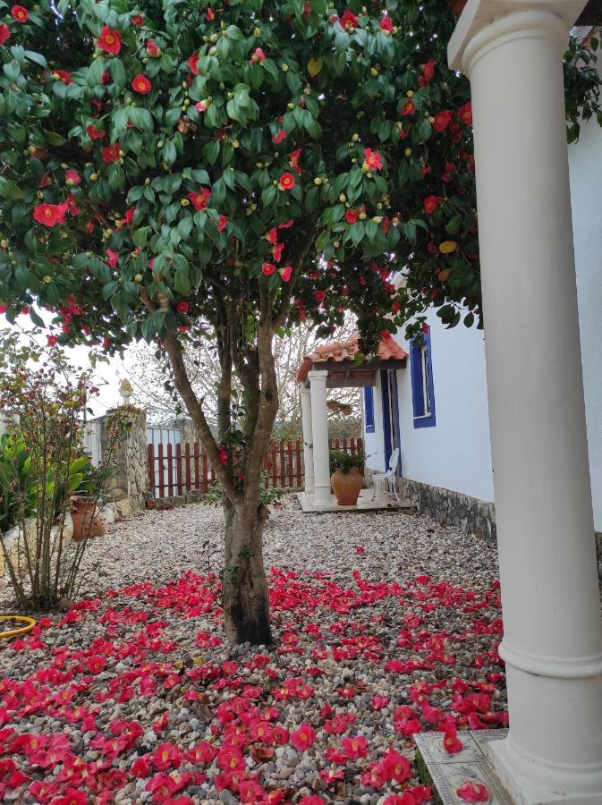 Hostel Fazenda Do Marante Tomar Zewnętrze zdjęcie